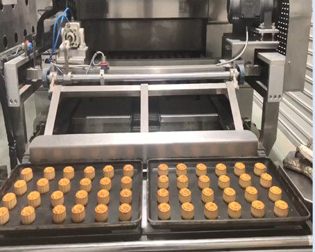 ISO 9000 Semi Automatic Cake Production Line For Egg Yolk Pie