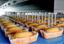 PLC Castella Cake Production Line