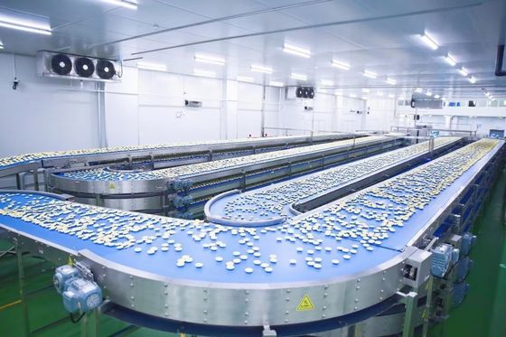 Linha de produção automática de pão com alta capacidade de produção